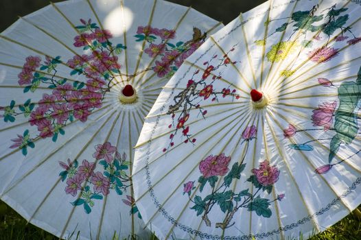 Two japanese umbrella