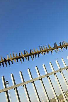 Barbed wire fence at the blue sky. metaphor of freedom and incarceration