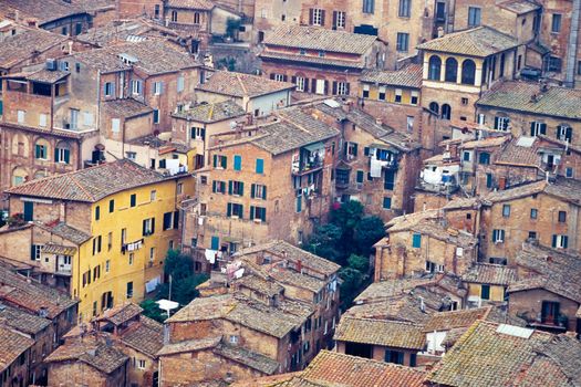 Aerial shot of crowded residential structures in old city of Siena, Tuscany, Italy, Europe