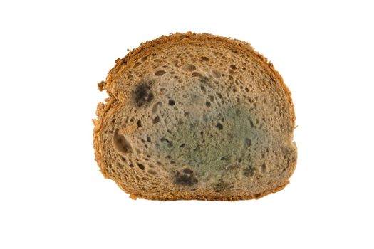 slice of moldy bread isolated on white background