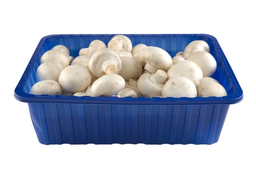 Fresh champignion mushrooms in a blue box