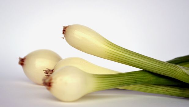 vegetables on a white background