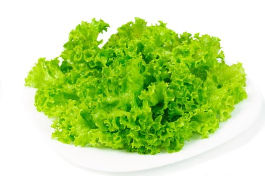 Leaves lettuce on plate on white background isolated