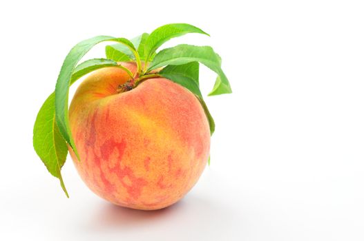 Fresh picked peach on a white background.