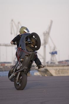 portrait of motorcycle show at harbour