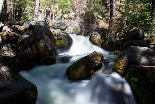 Forest river flowing gently over moss covered rocks