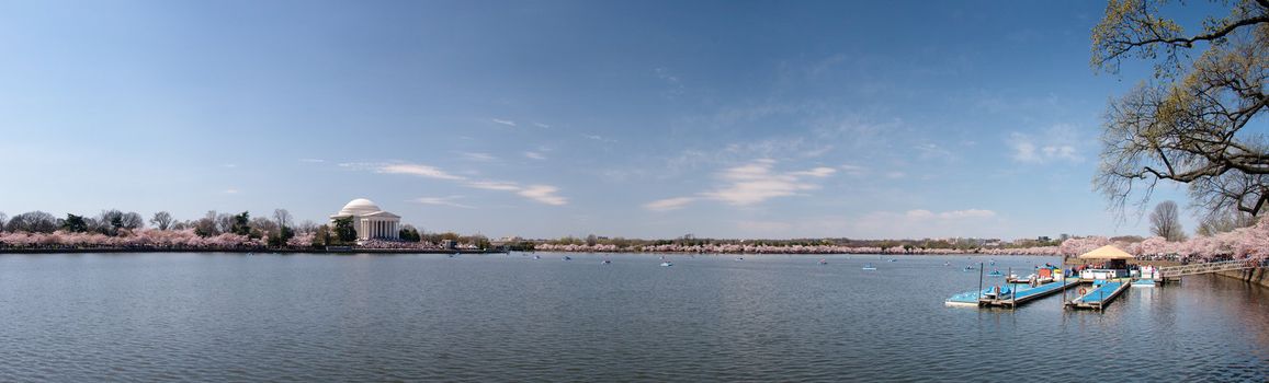 Expansive panorama of the Tidal Basin in Washington DC with the Jefferson Memorial in the foreground