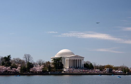 Cherry Blossoms surround Jefferson Memorial as a plane takes off over the scene