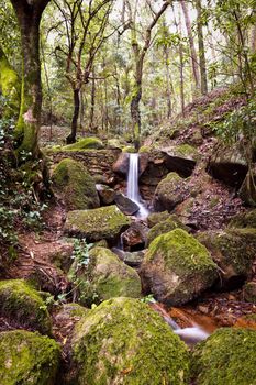 Small natural waterfall in the national park Sintra-Cascais.