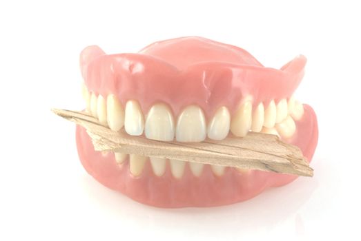 No money to eat, dentures biting on a piece of wood, isolated on white.