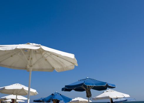 white and blue umbrellas on sunny beach