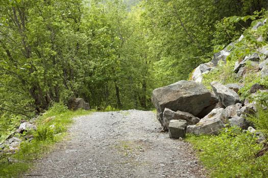 Large rocks fallen on a forest road. 