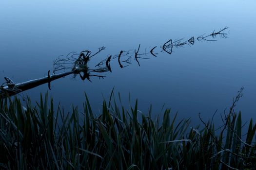 A reflection in Lake Matheson, NZ