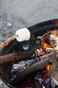 Marshmallow on the bbq