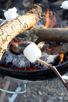 Marshmallow on the bbq