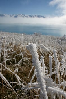 Winter field in New Zealand