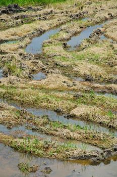 Field full of mud.