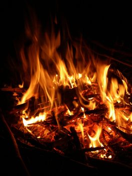 portrait of campfire outdoors in late cold night