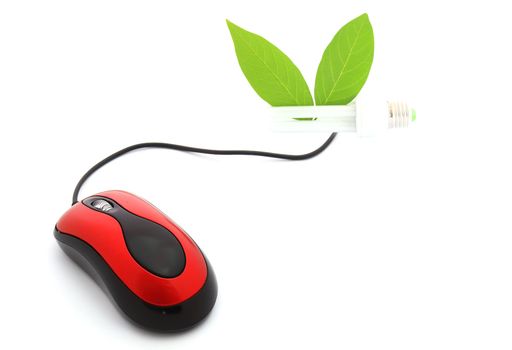 E-commerce - computer mouse and lamp