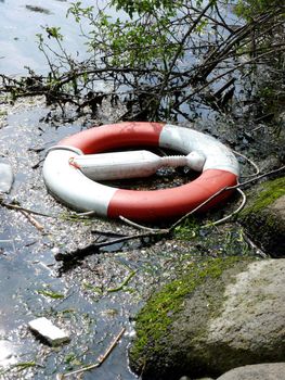 portrait of life buoy trown in water