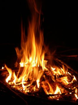 portrait of campfire outdoors in late cold night