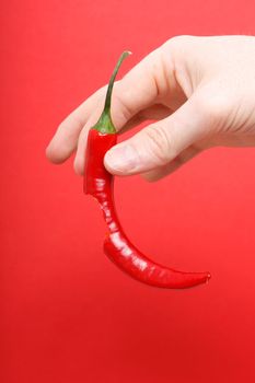 A hand holding chili pepper