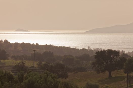 Early Morning over olive tree farmland at the mediterranean coast of Peloponnes, Greece, Europe