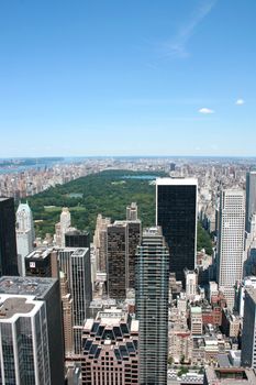 Central Park in the summer