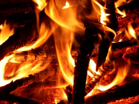 portrait closeup of campfire outdoors in late cold night