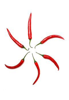Hot chili peppers isolated on white