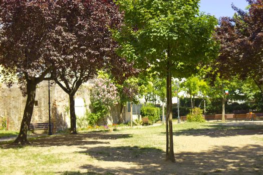 Image of an italian courtyard garden in summer.