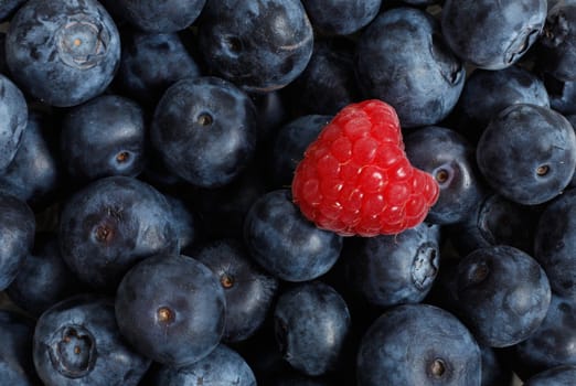 Raspberry on a background of blueberries