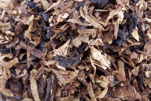Cut and dried different sorts (kinds) tobacco leaves. Tobacco for smoking with pipe.