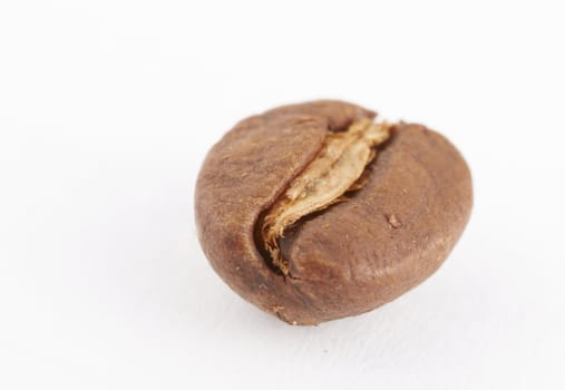Macro shot of coffe bean on white with copy space