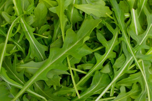 Close up of rocket salad