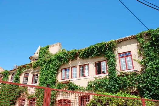 beautiful residential building with clinging flowers and sky background