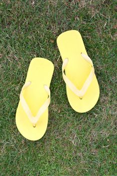 Slippers on the green grass
