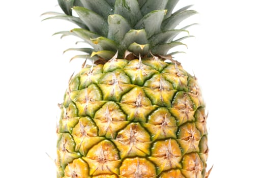 An isolated pinapple in a studio