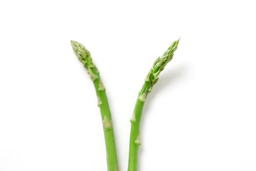 Delicious asparagus isolated on white