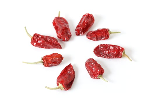 Dried red chili peppers isolated