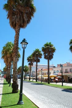 cityscape avenue full of palm trees in Cascais, Portugal