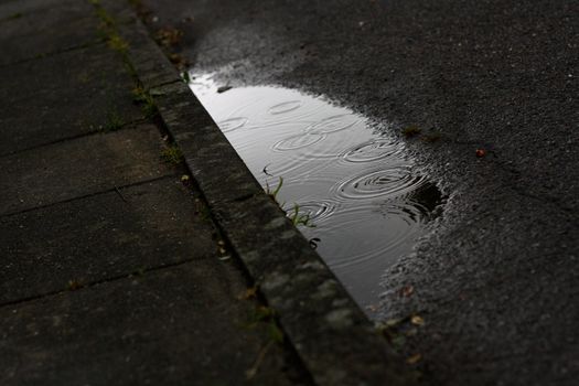 A puddle of water with beautiful rings in it