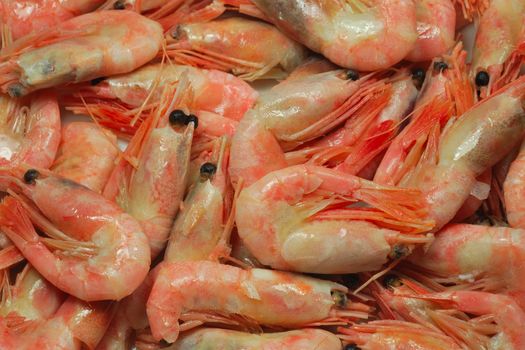 group of cooked prawns