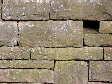portrait of old brickwork background