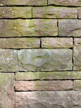 portrait of old brickwork background