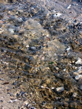 portrait of beach and waves on water