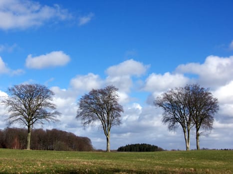 portrait of landscape with tree and clouds