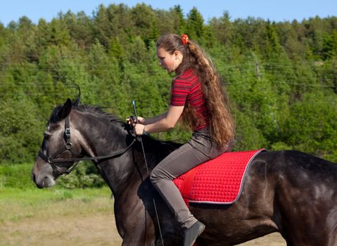 A girl riding a horse on a meadow