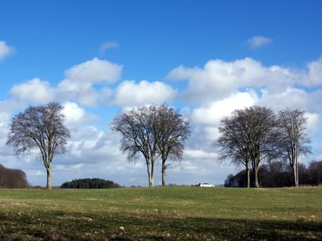 portrait of landscape with tree and clouds