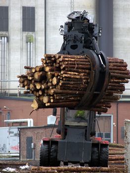 portrait of truck loading timber to a boat